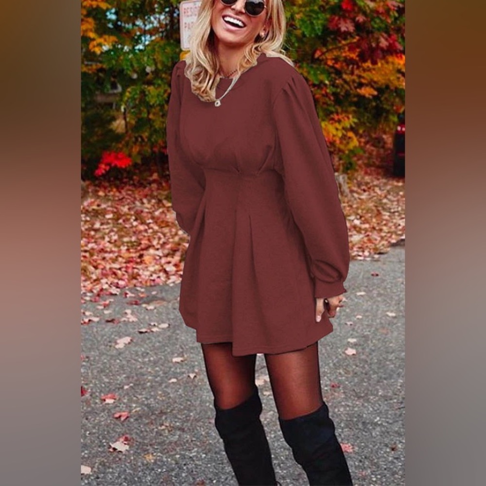 Moxidress Ruched Waisted Swing Mini Dress